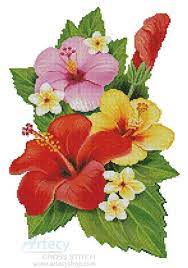 Check spelling or type a new query. Hibiscus Arrangement 3 Cross Stitch Chart Click Image To Close Cross Stitch Flowers Cross Stitch Patterns Cross Stitch