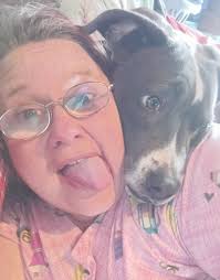 Our female blue pit Star is missing from Mount Zion Road Willisburg Ky. If  anyone has seen her or has her please return her to us she is our baby and  she