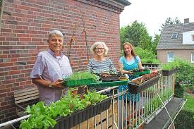 Neues Teilprojekt Fur Die Aktion Essbare Stadt Ein Stuck Garten Gesucht Warendorf Westfalische Nachrichten