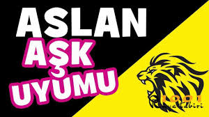 Aslan Burcu Erkegi Ve Kadini Ask Evlilik Cinsellik Ve Karakter Uyumu 2020 Goruntuler Ile Aslan Evlilik Ikizler Burcu