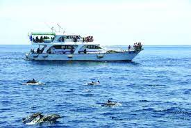 Guishan island ile i̇lgili : é¾œå±±å³¶è³žé¯¨è±š æ±åŒ—è§'æš¨å®œè˜­æµ·å²¸åœ‹å®¶é¢¨æ™¯å€è§€å…‰è³‡è¨Šç¶²