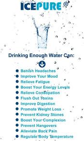 Pin On Refrigerator Water Filter