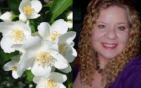 American Perfumery Series: Profiles