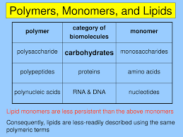 Biochemistry Tests For Food Macromolecules Carbohydrates The Structure And Function Of Macromolecules Carbohydrates Biology Classroom Biochemistry Biology Worksheet