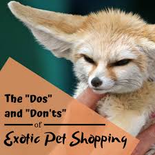 Our purpose for this website is to provide information about our ranch as well as the game ranching industry. Exotic Pets For Sale Online Shopping