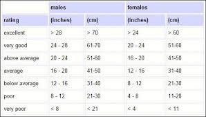 ymca fitness testing and assessment ymca sit and reach test