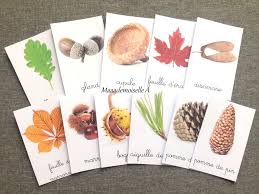 Cartes De Nomenclature Tresors D Automne Creations D Automne Nomenclature Activite Automne