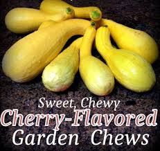 How to seed an overgrown zucchini. Sweet Cherry Gummy Chews Made From Excess Garden Squash