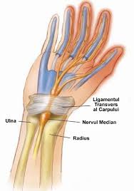 Uneori un tendon poate deveni iritat, inflamat sau umflat. Degetul Mare AmorÈ›it È™i Blocat Mana Dreapta Danihilldesign Com