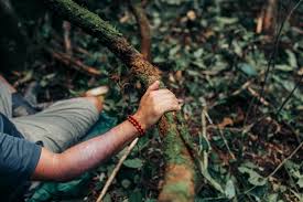 We did not find results for: Environmental Awareness Educate Yourself And Those Around You Pachamama Alliance