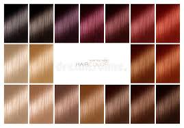 color chart for hair dye tints hair color palette with a