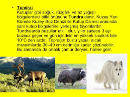 Check spelling or type a new query. Col Biyomu Ve Tundra Biyomu Ppt Video Online Indir