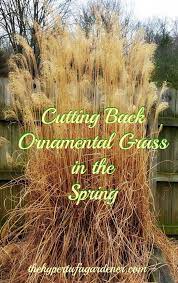 404 Page Not Found Ornamental Grass Landscape Ornamental Grasses Tall Ornamental Grasses