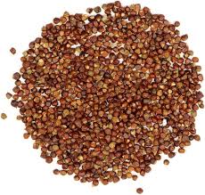 Image result for Aframomum mala