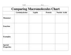 biology macro molecules chart elements and monomer diagram