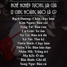 Hình ảnh có liên quan