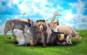 My Irish Surnames And Other Animals A Letter From Ireland