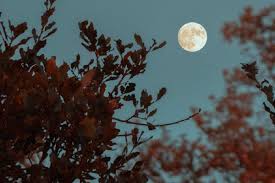 Cand este luna plina putem face meditatii beneficiind de un surplus de sprijin din partea lunii, luna plina este un moment optim pentru a incepe sa dezvoltam partea feminina din noi (indiferent de sexul fizic), Cand Va Fi Prima LunÄ PlinÄ Din Aprilie Èi Ce Este Bine SÄ Faci In Acea Noapte Impact