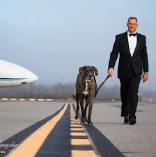 Profile for Sean McGill