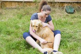 How To Get Rid Of Dog Fleas Using A Bath And Soap - Pethelpful