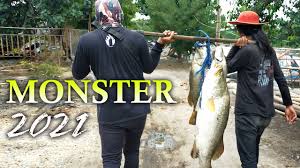 Bulan desember hingga maret, musim kemarau terjadi pada. Panen Ikan Kakap Putih Di Akhir Musim Angin Barat Youtube