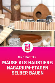 Mause Als Haustiere Kafig Etagen Selber Bauen Haustiere Selber Bauen Maus