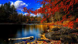 Autumn Lake Wallpaper Wallfree 100 Free High Definition Wallpaper High Definition Background 4k Wallpaper Scenery Wallpaper Beautiful Landscapes Scenery
