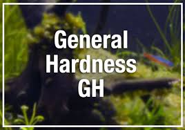 Beginners Guide To Aquarium Water Hardness Gh