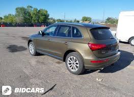 Image result for Maya Brown 2014 Q5