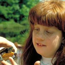 Bedford Mall 🥲I would absolutely die if anyone had pictures of the regal  that was here.