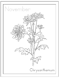 Coloring pages are a great means of allowing your child to share their ideas, views and perception through artistic and advanced. November Coloring Pages Chrysanthemum Flower Coloring4free Coloring4free Com