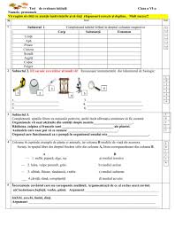 Salvaresalvați evaluare initiala clasa a v a 4 pentru mai târziu. Actividad De Evaluare Initiala Para Clasa Vi