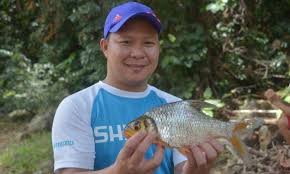 Apakah anda sudah tahu berapa harga ikan harga satu ekor ikan louhan golden red biasa dibanderol sekitar rp3.000.000 per ekor untuk jenis. 15 Spesies Ikan Air Tawar Terbaik Part 4 Umpan