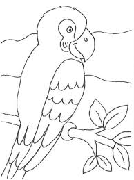 Ausmalbilder Papagei Vogel Ausmalen Free Printables Design Illustration Ausmalbilder Papagei Papagei Ausmalbilder Vogel