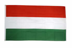 Flaggen werden in verschiedenen größen und in hoher stückzahl. Flagge Fahne Ungarn Gunstig Kaufen Flaggenfritze De