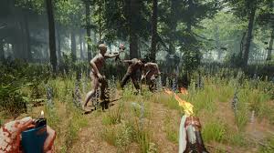 The difference may be the fact that it's wireless. The Forest On Steam