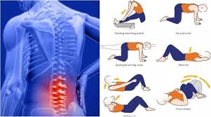 Stretches for lower back pain. 7 Exercises For Lower Back Pain Relief In Just Minutes Free Gym Fitness Workouts