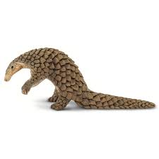 The shy, harmless pangolin is becoming increasingly well known for one reason: Safari Ltd Schuppentiere Braun Trekkinn