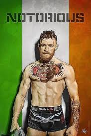 Tons of awesome conor mcgregor full hd computer wallpapers to download for free. Conor Mcgregor Wallpapers Artofit