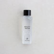 Water damage can destroy your personal goods and ruin the structure of your building. Son Park Beauty Water 60ml Shopee Philippines