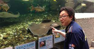 熱帯環境植物園 巨大エイに遭遇 熱帯 ミニ水族館 環境