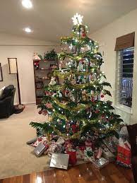 Hawaiian Christmas Tree Norfolk Island Pine Star Pine Triangle Tree Living Christmas Tree Hawaiian Christmas Tree Pine Christmas Tree Live Christmas Trees