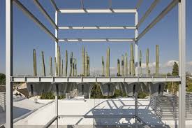 I remembered how last year during these project things, some moron managed to get a piece of cactus stuck to his hand, and thus this happened. Cactus Tower Eric Owen Moss Architects Archdaily