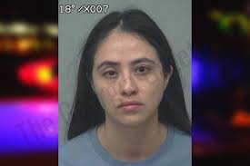 Gwinnett County Crime