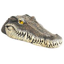 These habitats are home to one of the most fearsome predators in america: Floating Alligators Head Decoy Crocodile Head Decoy Pond Float Deter Animals Solution Float Gator For Water Pool Pond Garden Defend Decoration 13 X 6 X 3 Inches Walmart Com Walmart Com