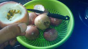 Buah markisa, atau buah konyal, adalah buah yang memiliki kulit tebal berwarna oranye di indonesia, dan berwarna ungu di amerika, yang tumbuh di tempat tropis. Cara Makan Buah Markisa Passiflora Edulis Youtube