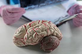 Sanità Informazione