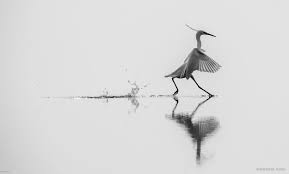We did not find results for: 20 Award Winning Black And White Photography Examples From Famous Photographers