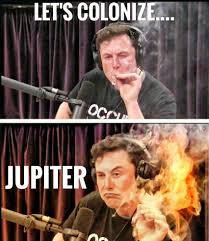 Elon musk hosted meme review today on pewdiepie's youtube channel, alongside rick and morty creator justin roiland. 48 Elon Musk Memes Ideen Lustig Witzig Memes