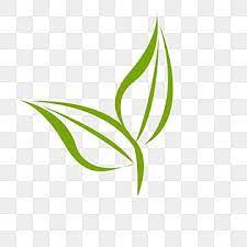 Desenho De Folhas De Cha Verde Cha Cha Verde Desenho De Linha Imagem Png E Psd Para Download Gratuito In 2021 Tea Leaves Illustration Line Drawing Leaves Illustration